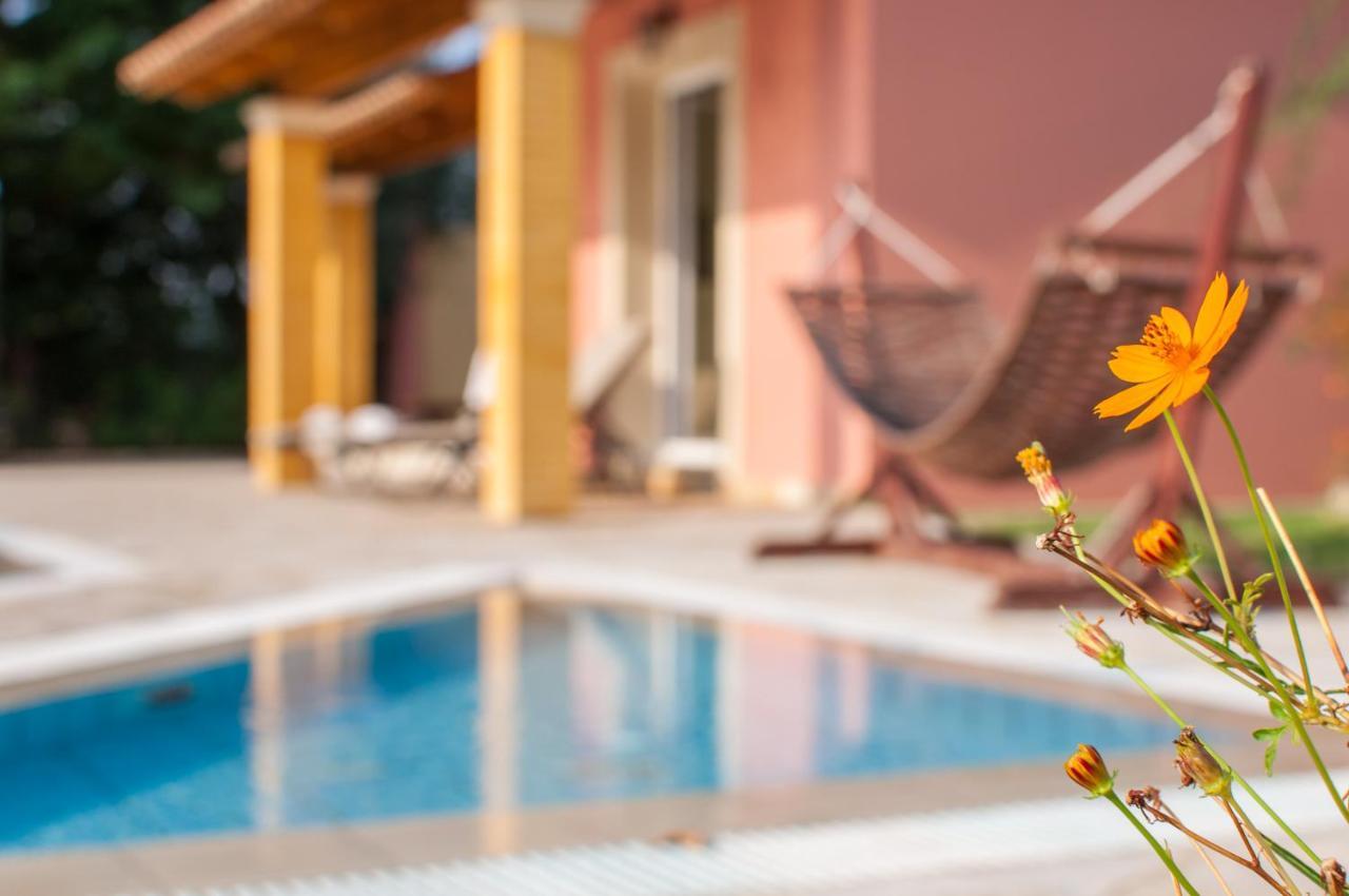 Villa Nefeli Dasziá Kültér fotó